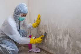 Best Mold Odor Removal Services  in Howe, TX